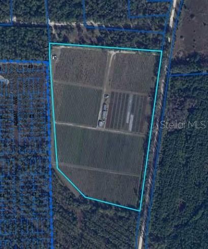 For Sale: $375,000 (23.52 acres)