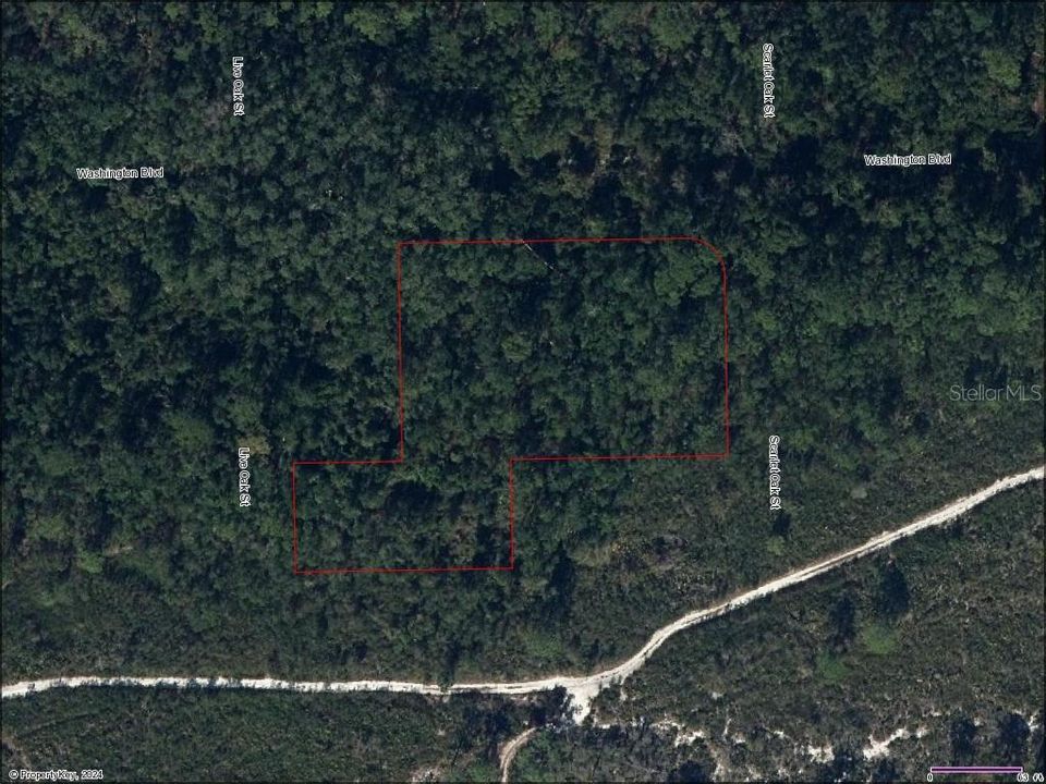 For Sale: $19,500 (1.03 acres)