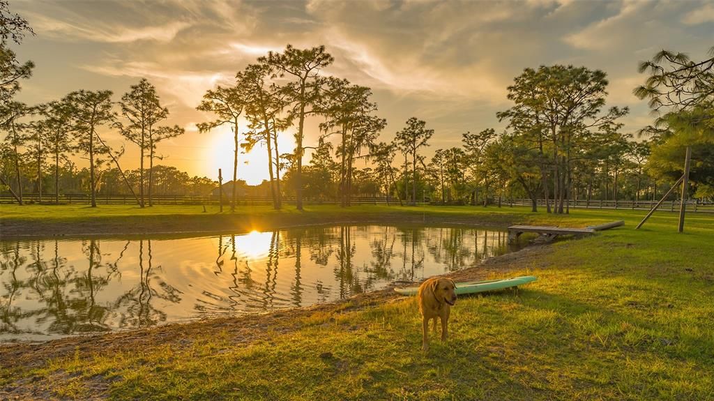 Whether seeking adventure or solace, this enchanting estate offers something for everyone.  Experience the best of both worlds within Panther Ridge, spanning 4,500 acres of pristine wilderness. Delight in 15 miles of trails, ideal for hiking or horseback riding, allowing you to fully immerse yourself in the natural splendor of the area.