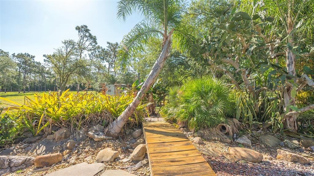 The walkway takes you to a real live mini-waterfall.