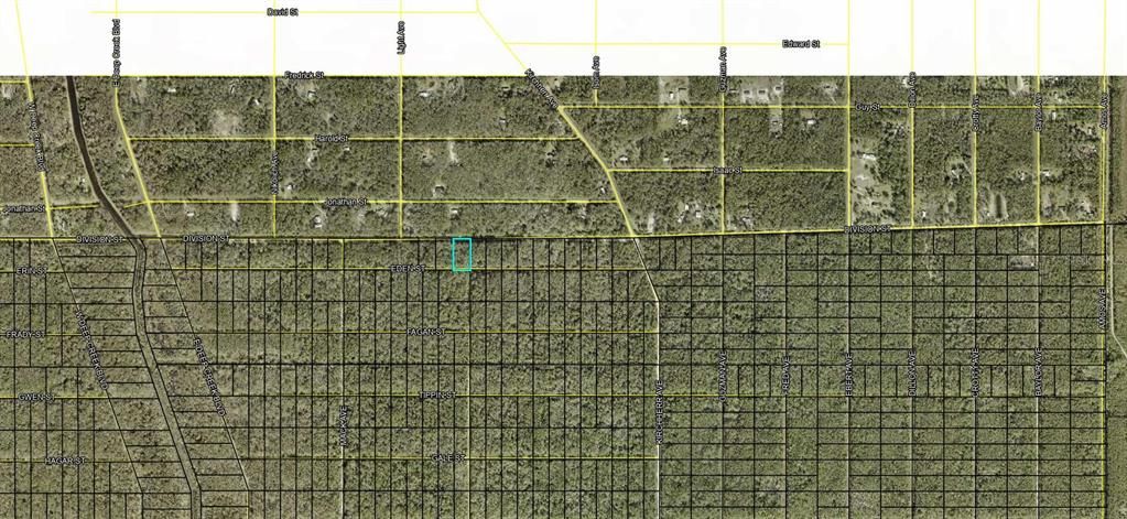 For Sale: $12,900 (0.98 acres)