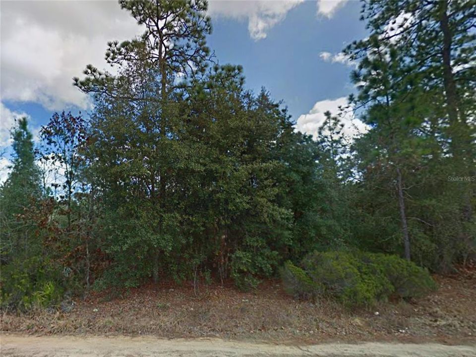 For Sale: $8,500 (0.23 acres)