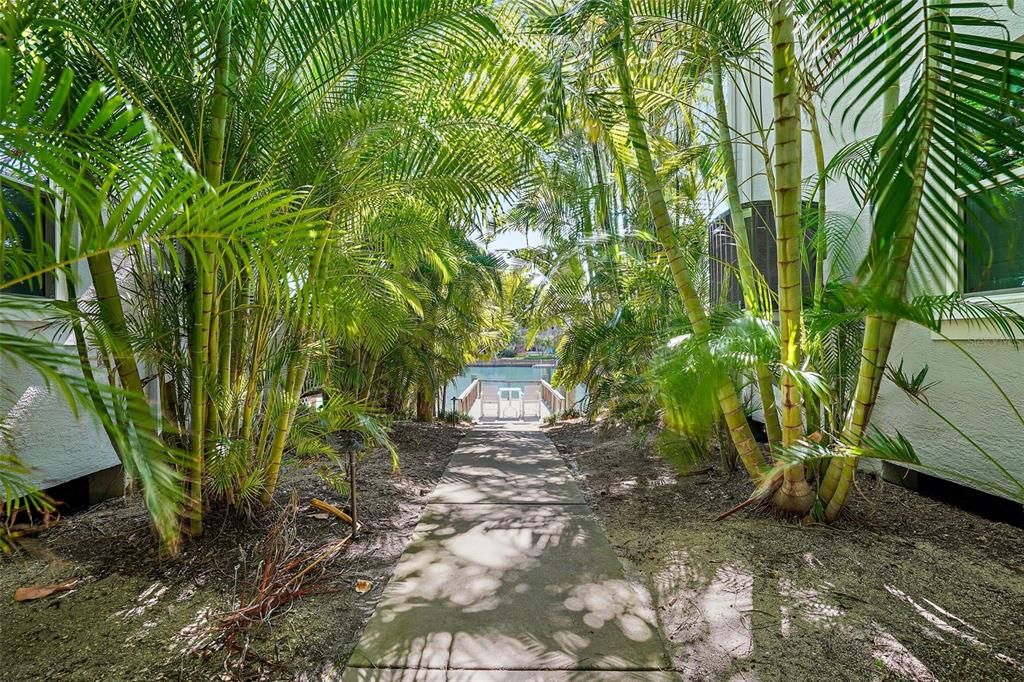 Tropical Landscaping throughout the entire Villa del Mar Community