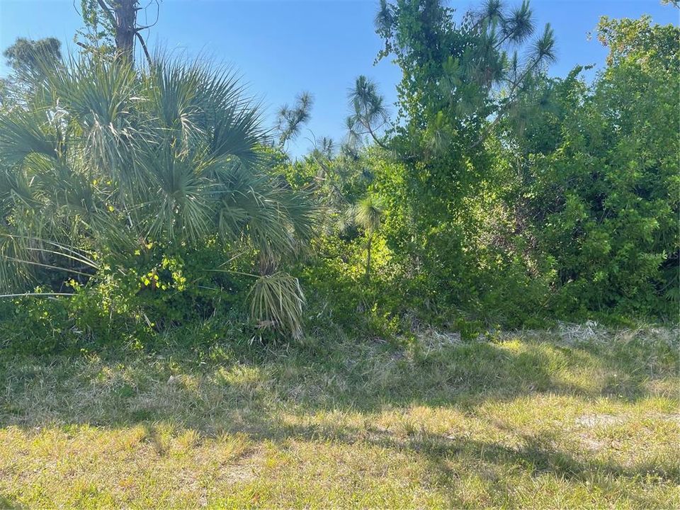 Terrific building lot for your dream home!