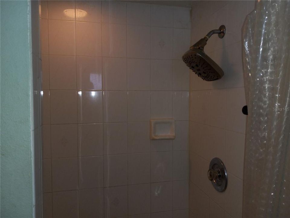 Master Shower