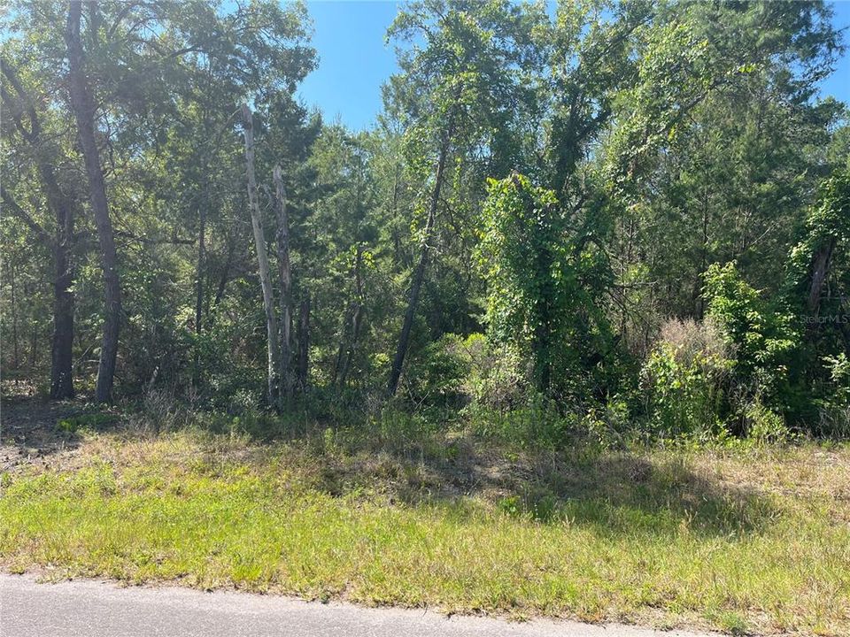Active With Contract: $15,000 (0.23 acres)