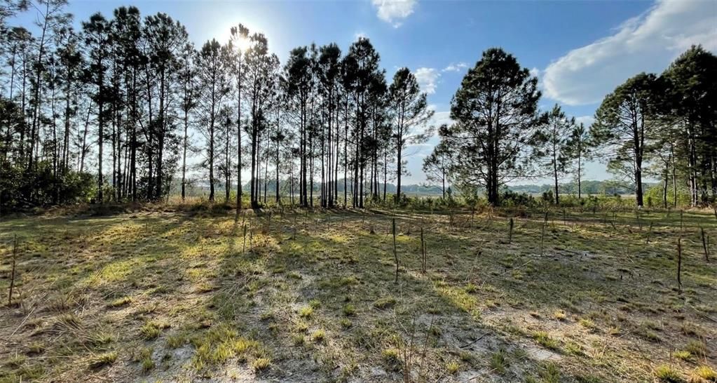 For Sale: $425,000 (6.51 acres)