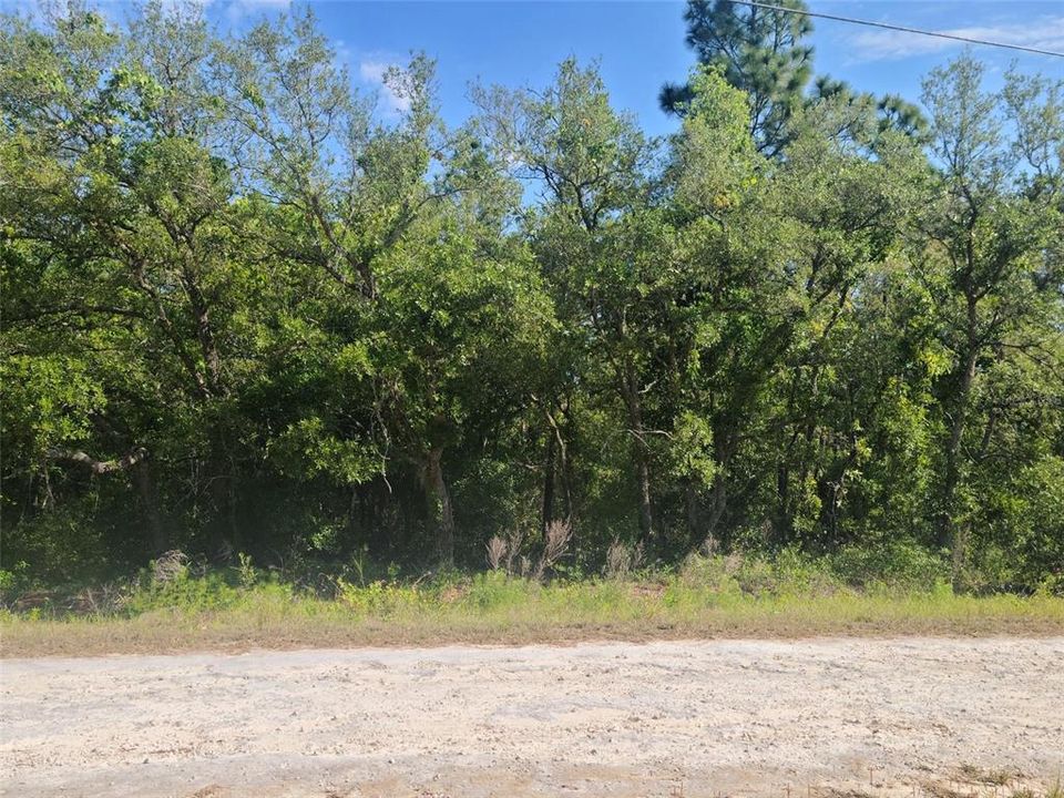 For Sale: $45,000 (0.46 acres)