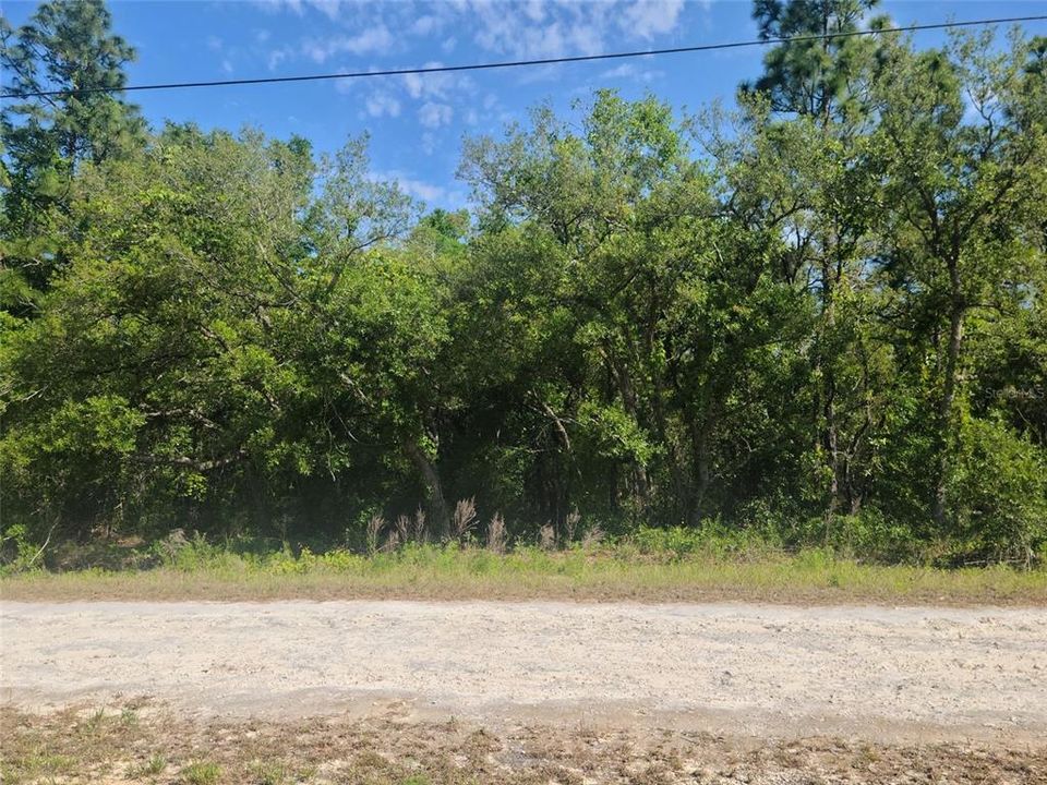 For Sale: $45,000 (0.46 acres)