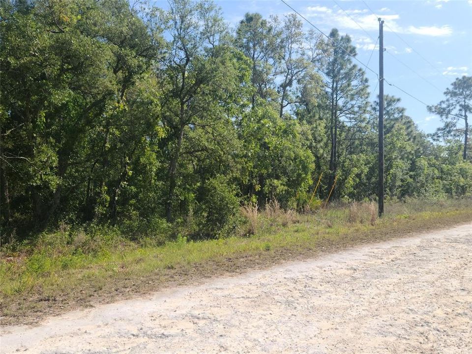 For Sale: $45,000 (0.46 acres)