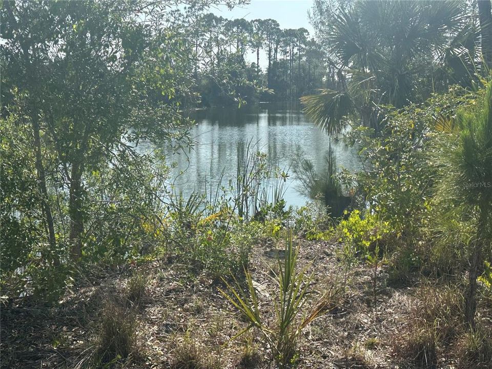 Cape Coral Canal Front Lot.