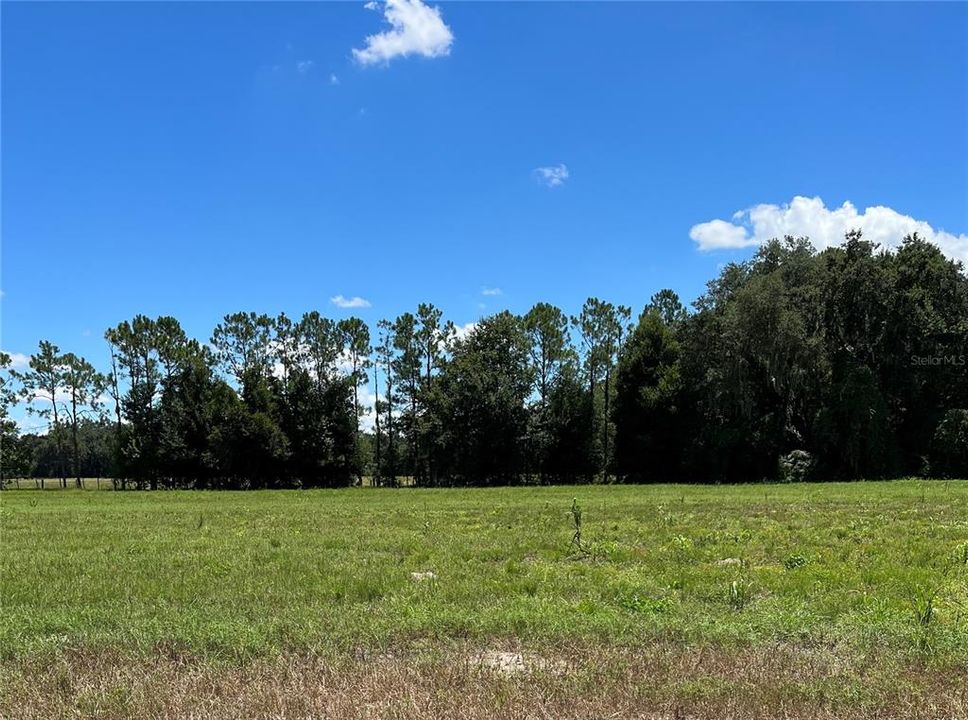 Recently Sold: $157,500 (5.00 acres)