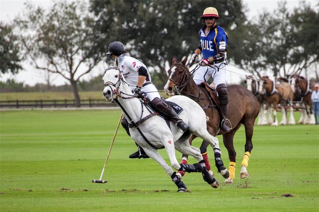 Polo Matches