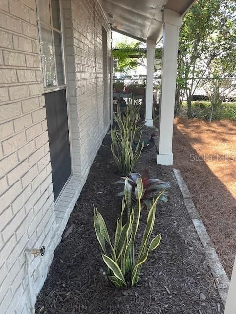 Planting Area in Front of Property
