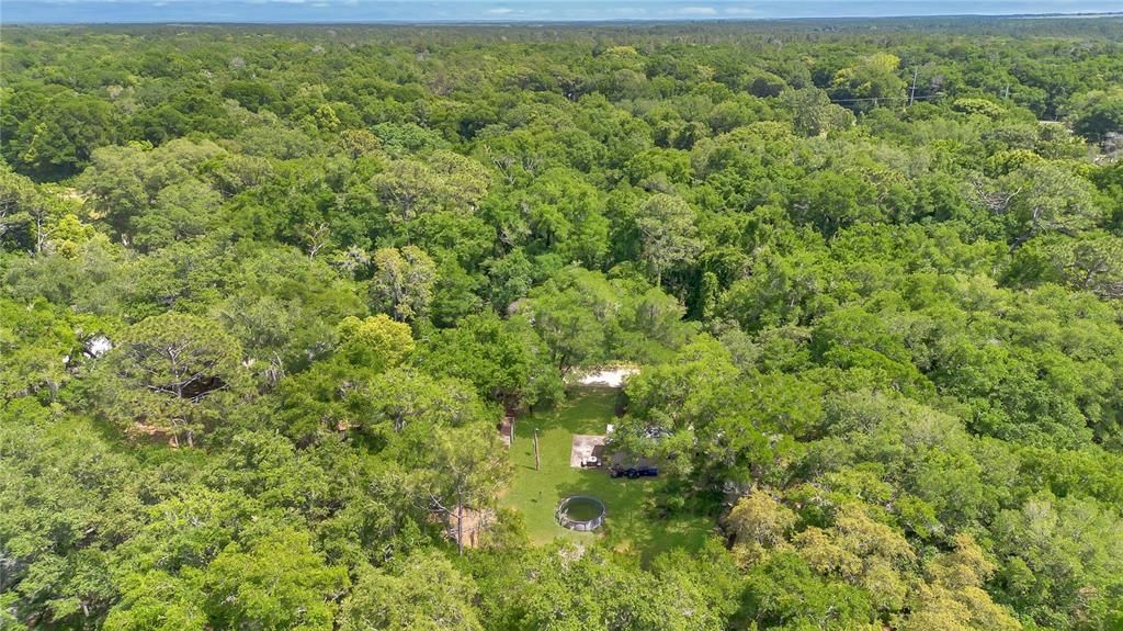 Aerial view of the property showing the lush natural surroundings.