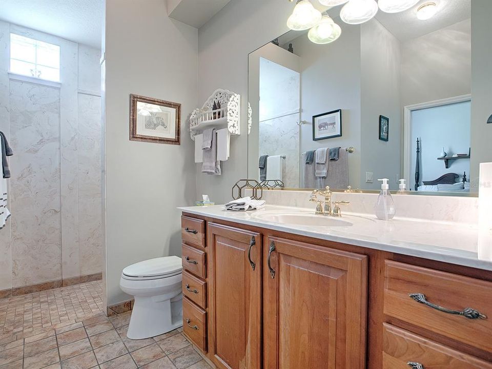 Bath with walk in tile shower