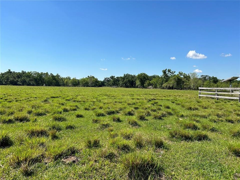 For Sale: $497,000 (20.62 acres)