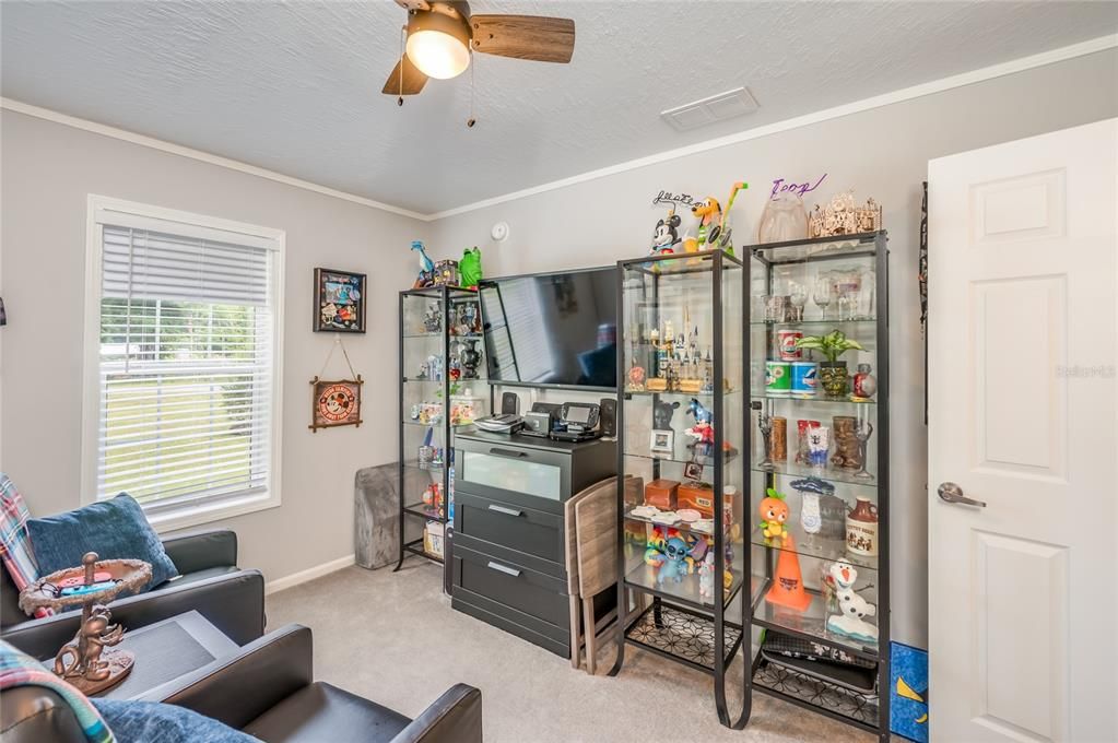 Second Bedroom being used as Gaming Room and Collectible Display and has a large Walk-In Closet.