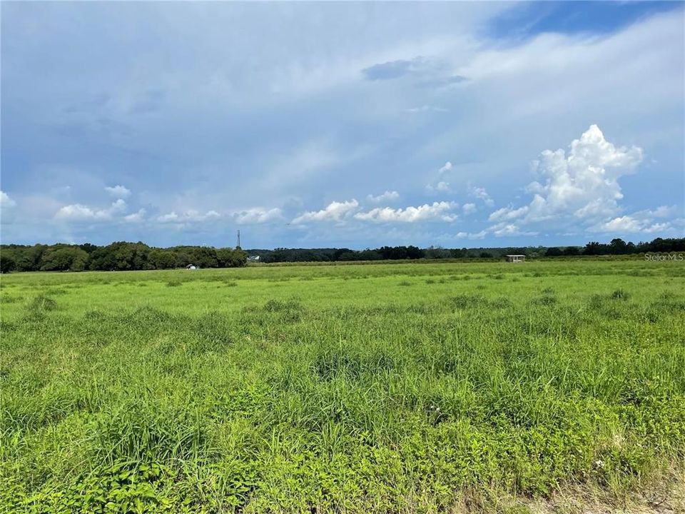 For Sale: $260,000 (6.06 acres)