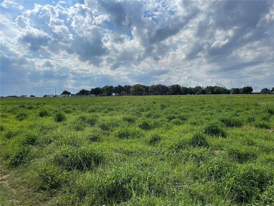 For Sale: $260,000 (6.06 acres)