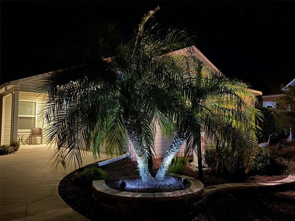 Night view of the front of the home.