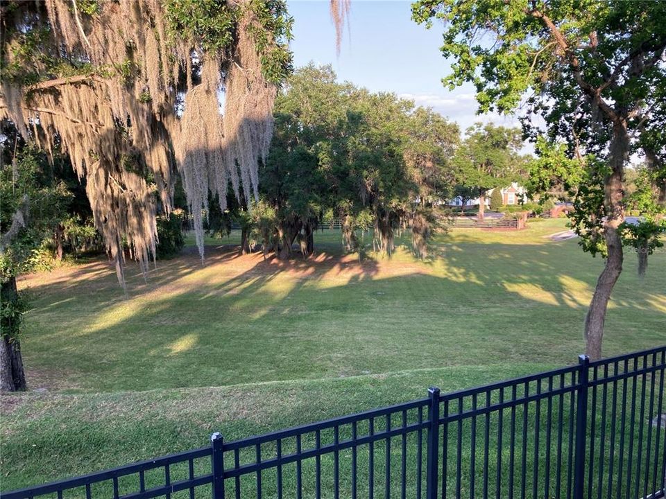PART of the BACK YARD