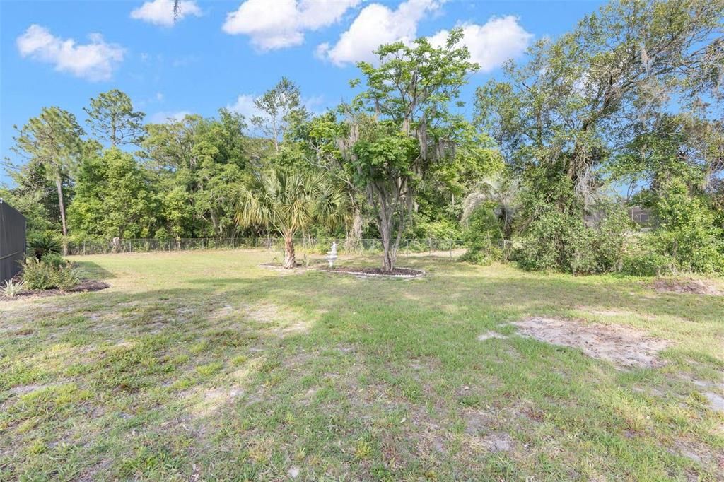 1/2 acre lot fenced