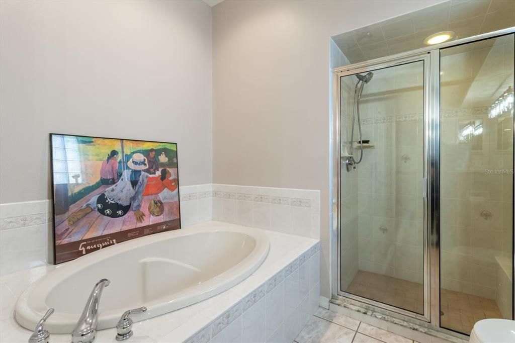 Master Bath with separate shower with seat and luxurious garden tub