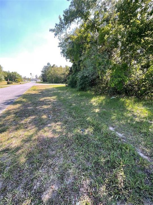 Recently Sold: $39,900 (0.33 acres)