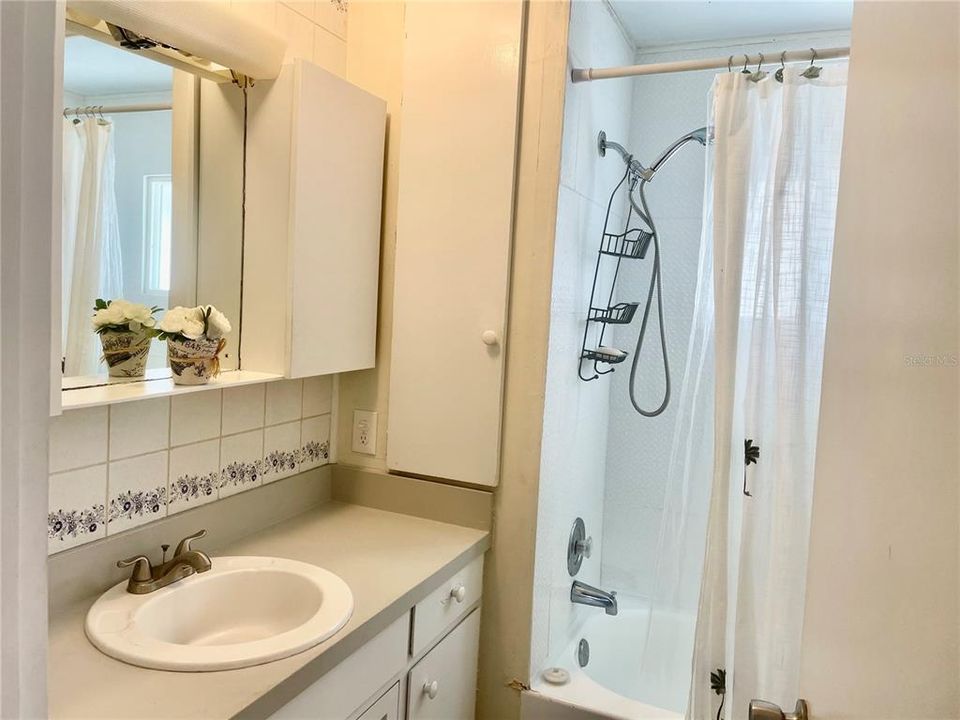 Main Bathroom Tub/Shower Combination