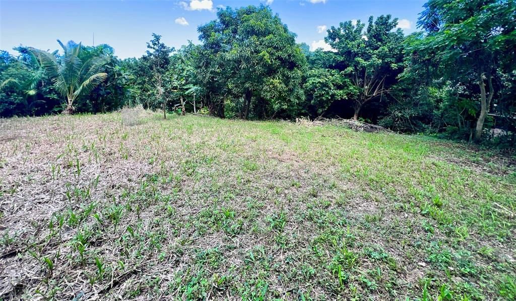 En Venta: $47,500 (0.22 acres)