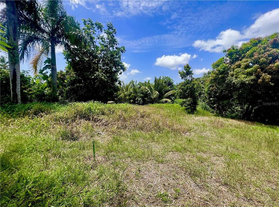 En Venta: $47,500 (0.22 acres)