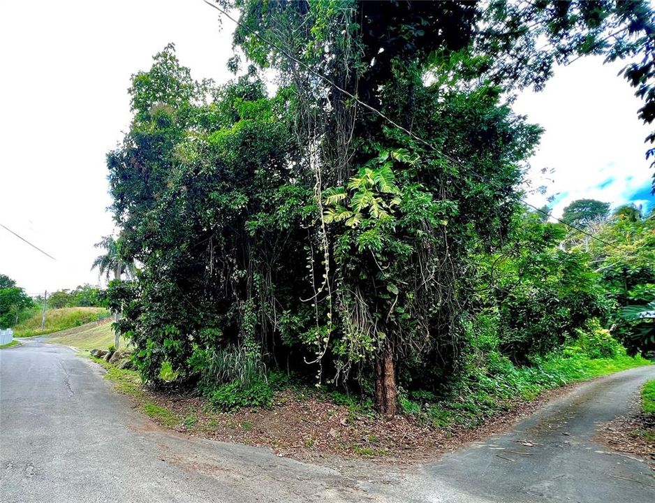 En Venta: $76,000 (0.22 acres)