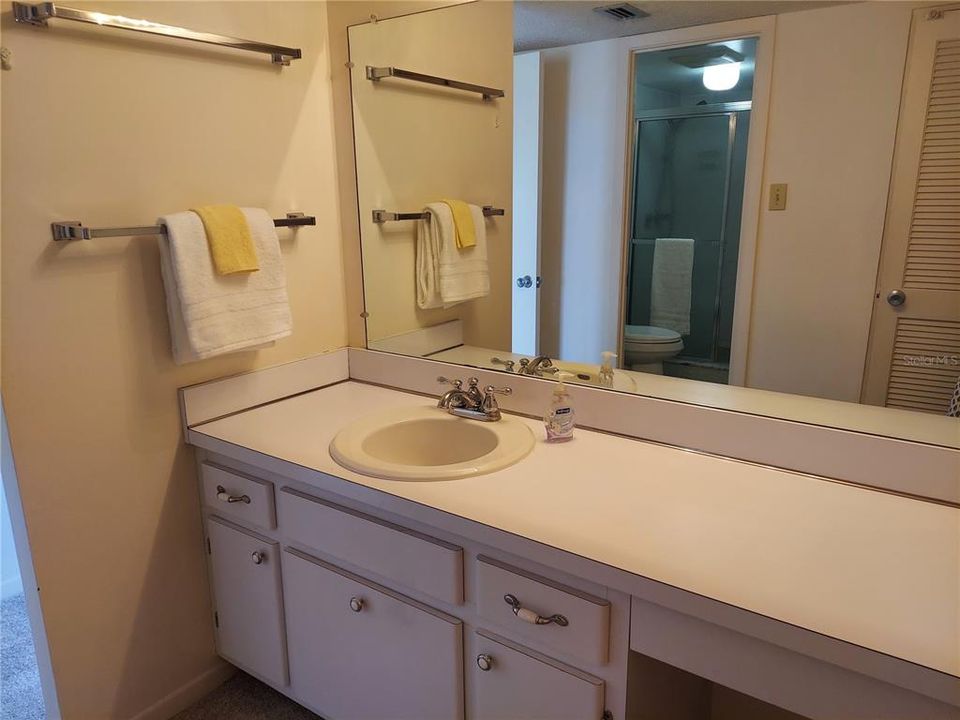Primary Bathroom vanity
