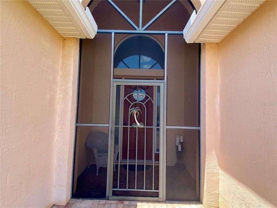 Decorative palm on front door screen