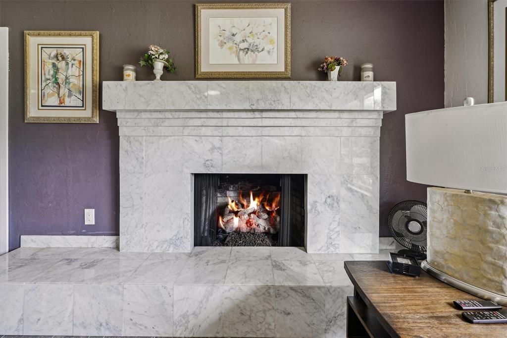 Beautiful fireplace and mantle