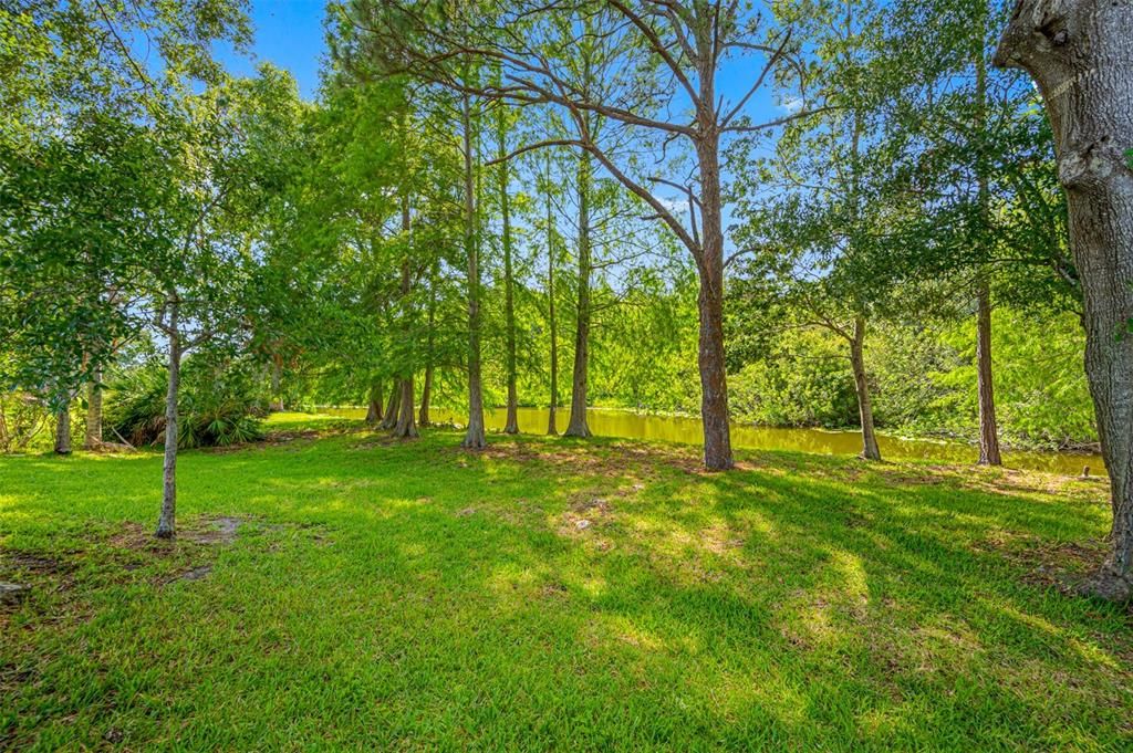 Large backyard on preserve lot