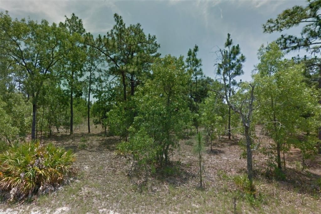 For Sale: $23,900 (0.25 acres)