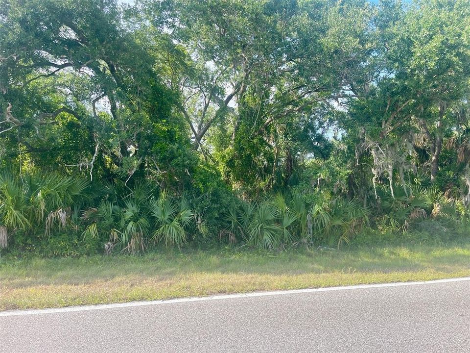 Active With Contract: $20,900 (0.23 acres)