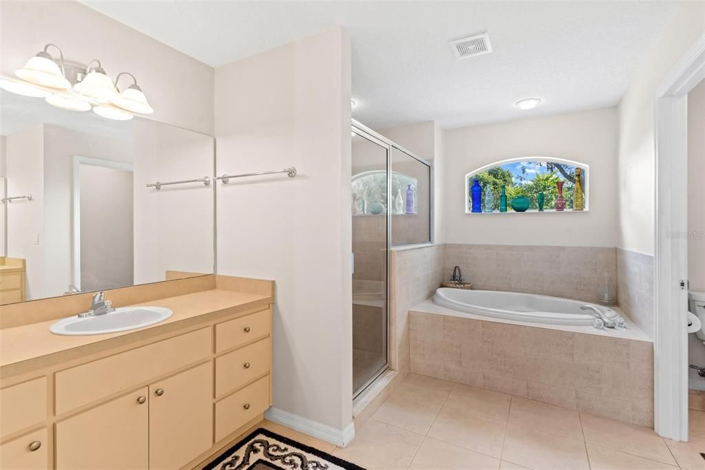 Guest Bathroom with Tub and Shower Combo