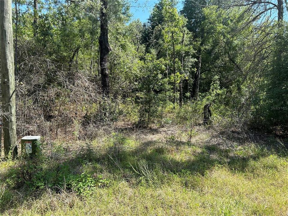 Active With Contract: $45,900 (1.16 acres)