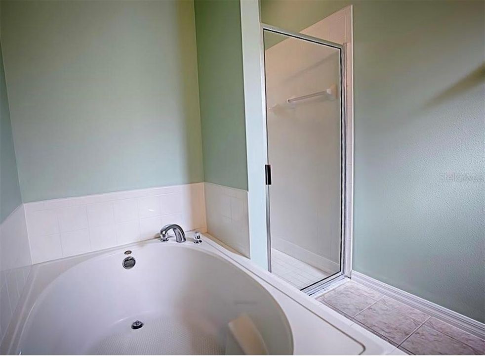 Master Bath with 2 sinks and Separate Shower