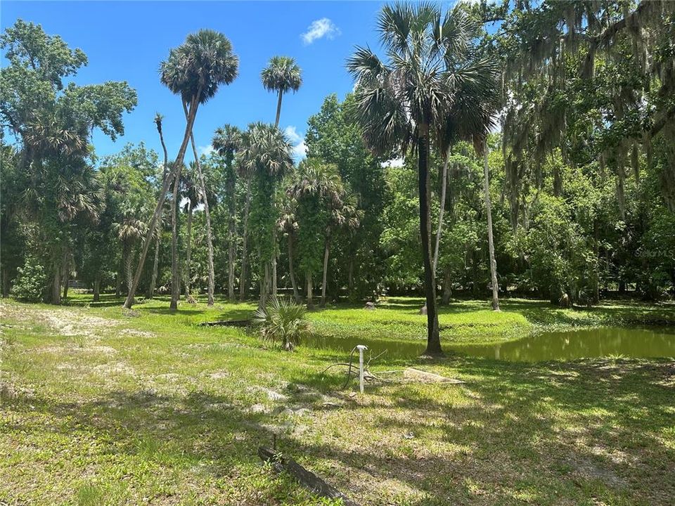 Active With Contract: $375,000 (4.77 acres)