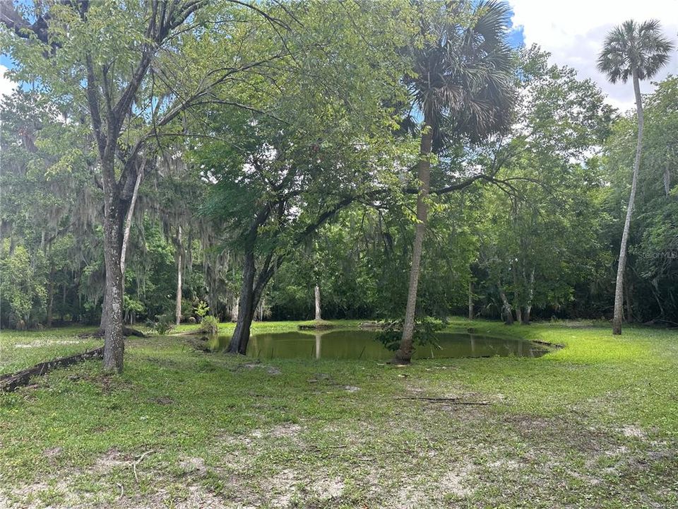 Active With Contract: $375,000 (4.77 acres)