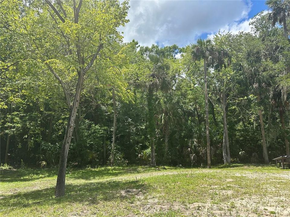 Active With Contract: $375,000 (4.77 acres)