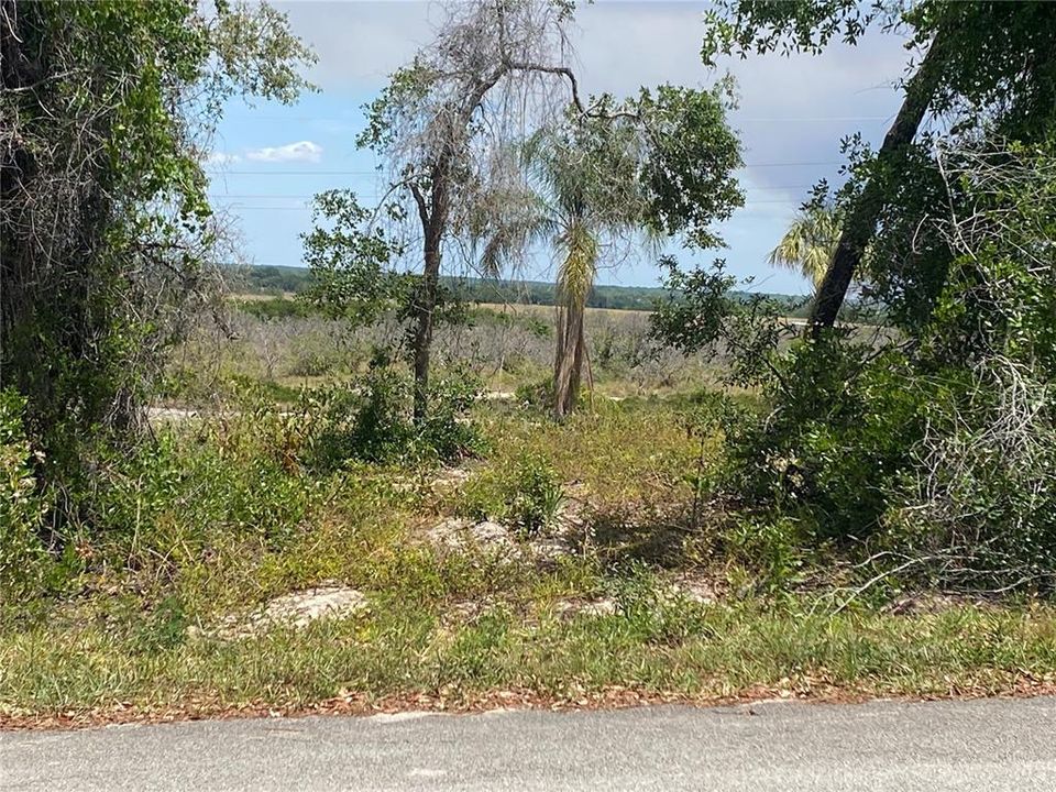 For Sale: $275,000 (12.17 acres)