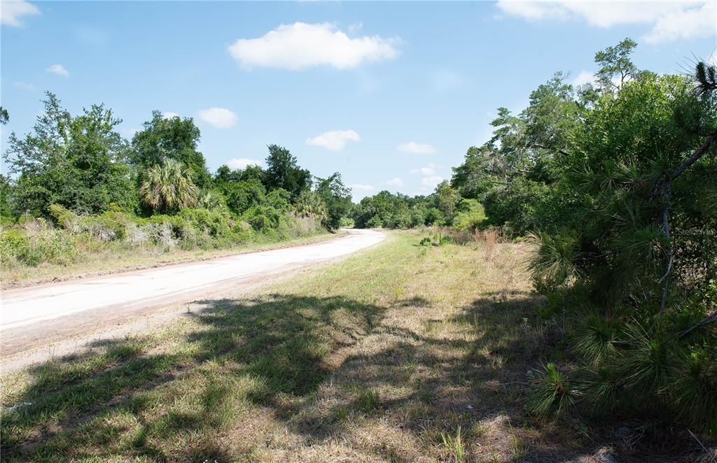 For Sale: $26,999 (0.45 acres)