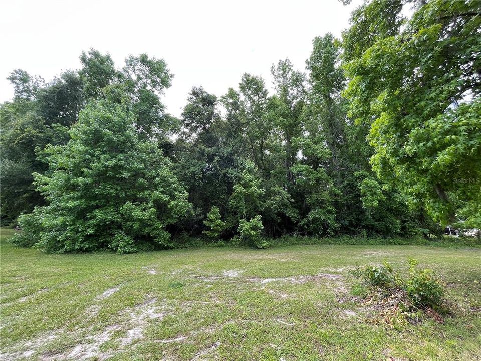 For Sale: $18,500 (0.21 acres)