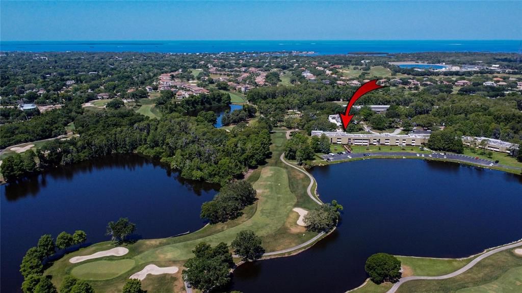 Lake Innisbrook in foreground and Gulf of Mexico in background.