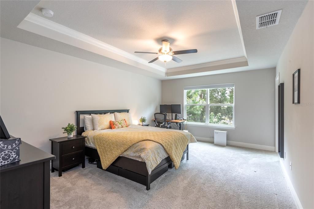 Primary Bedroom with Trey Ceiling